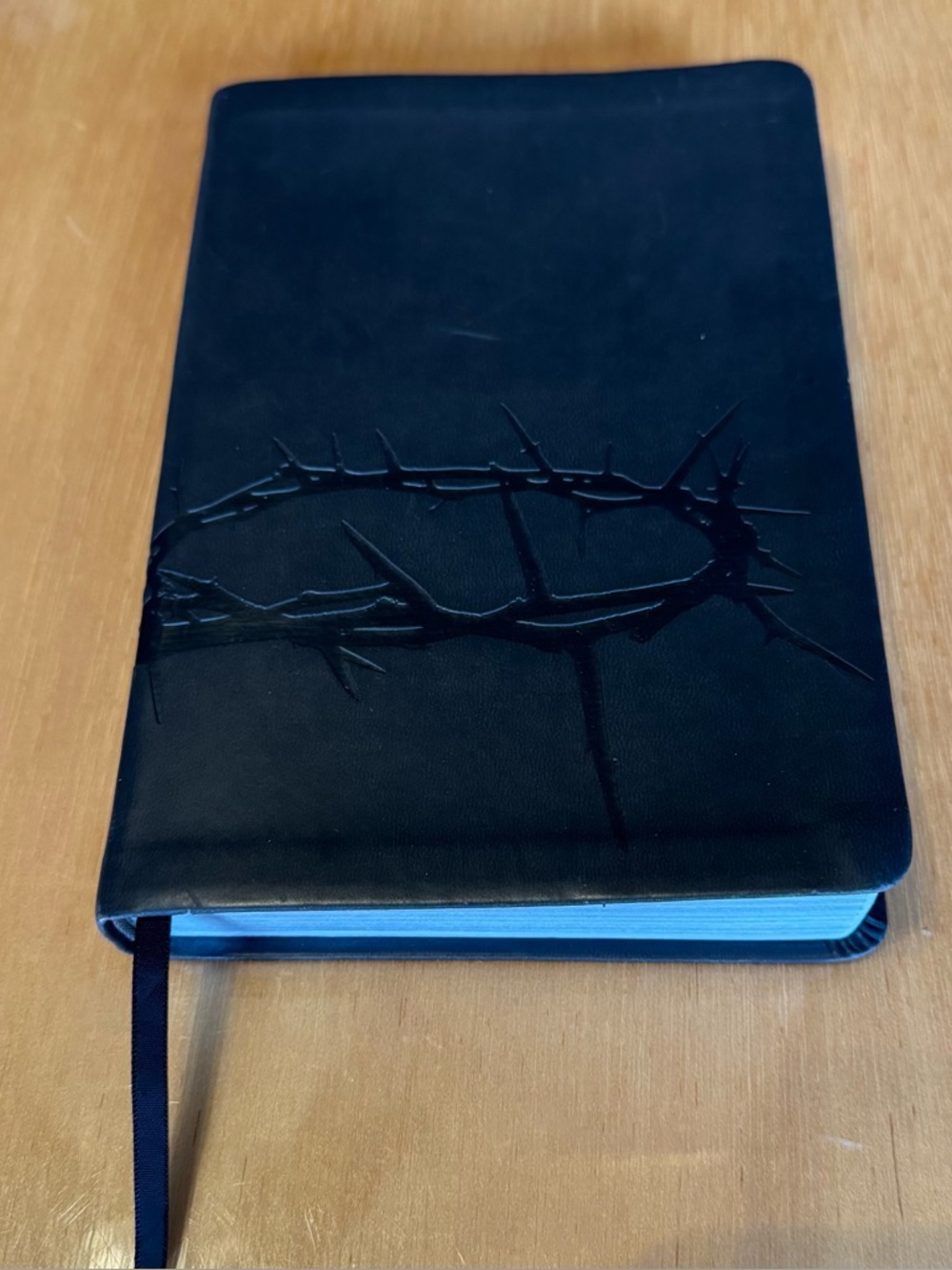 Holman Christian Standard Bible Faux Leather Thorns